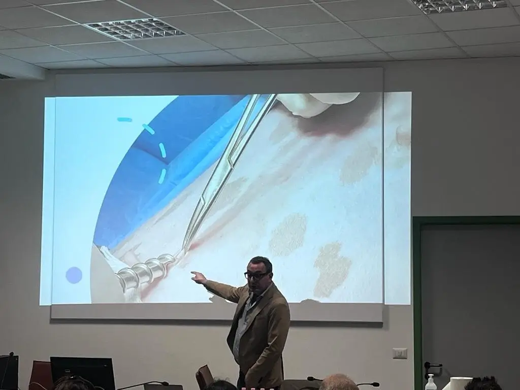 Corso ad personam